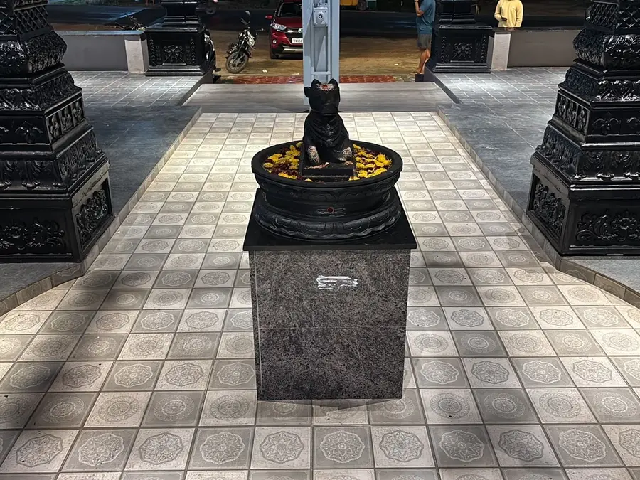 A black stone Nandi on a plinth with marigold petals scattered around it, carved pillars either side.